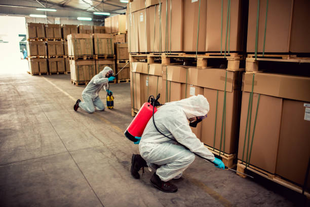 Best Wasp Removal Services  in Potosi, MO