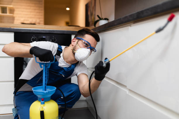 Best Bed Bug Extermination  in Potosi, MO