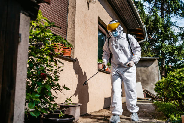 Best Insect Control  in Potosi, MO