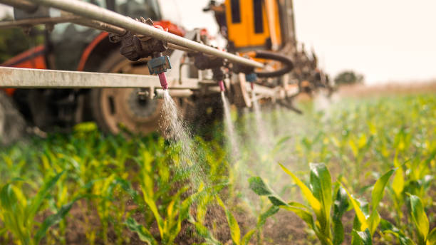 Best Mosquito Control Services  in Potosi, MO