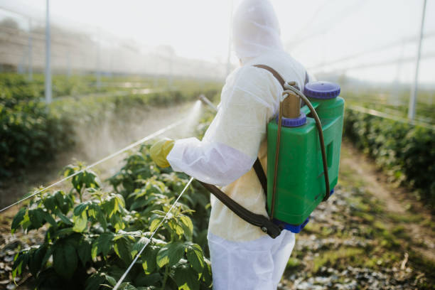 Insect Control in Potosi, MO